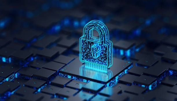 Development & Hosting